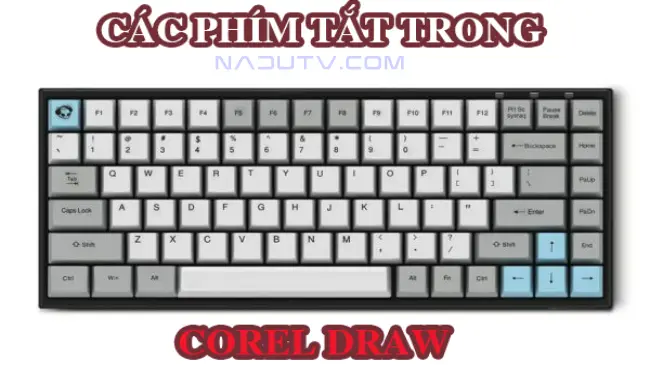 Phím tắt trong Corel tăng hiệu quả trong công việc 1 Phim tat corel