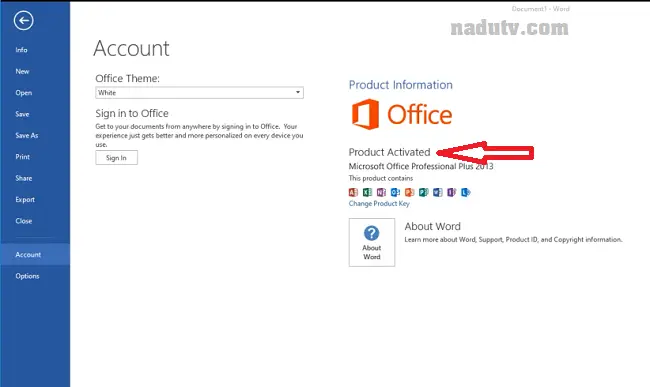 Microsoft Office 2013 9