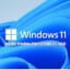 Windows 11 Insider Preview 15in1