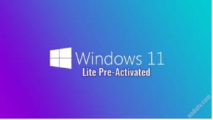 Windows 11 lite Build 21996.1 Pre-activated [Google Driver]