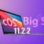 MacOS Big Sur 11.2.2 (20D80)