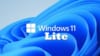 Windows 11 Pro Lite 21H2 (22000.376) (x64)