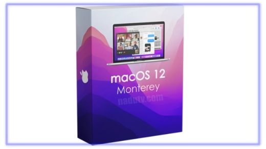 MacOS Monterey 12.1.0 (21C52)