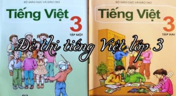 Đề thi Tiếng Việt lớp 3 năm 2021 – 2022 có đáp án