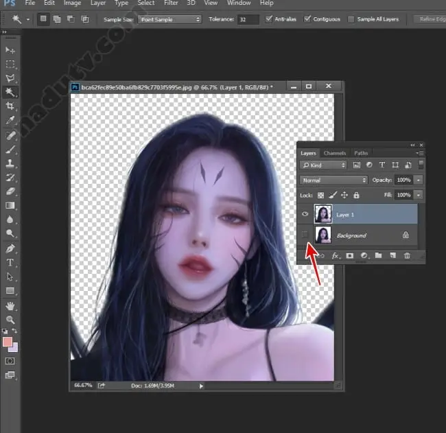 tac nen Photoshops bang Magic Wand Tool 8