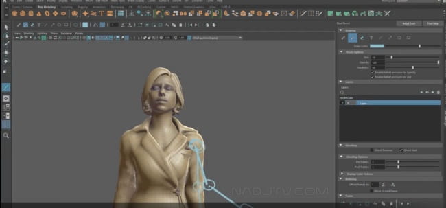 Thiết kế 3D Maya Creative 2025