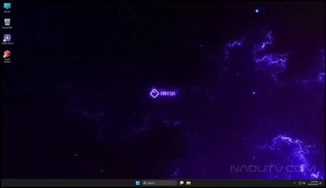 Windows 11 Pro Lite 24H2
