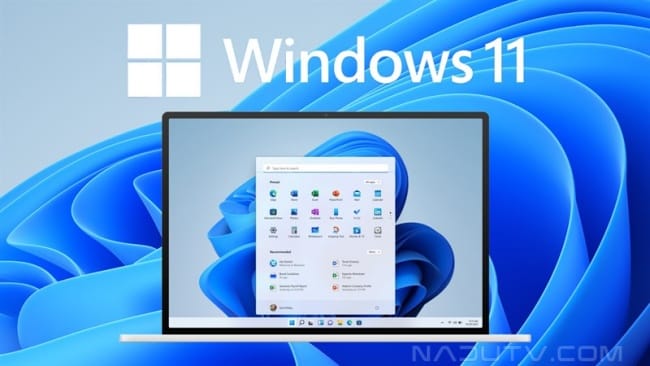 Cách cài windows 11 trên Surface Microsoft