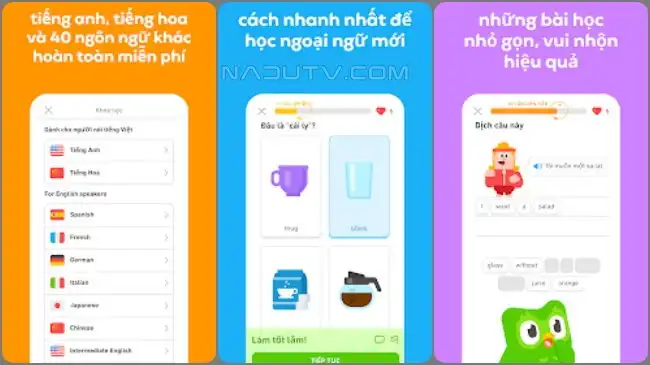 Học tiếng anh cùng Duolingo Unlocked APK