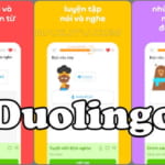 Duolingo