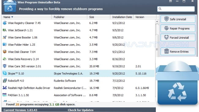 Wise Program Uninstaller