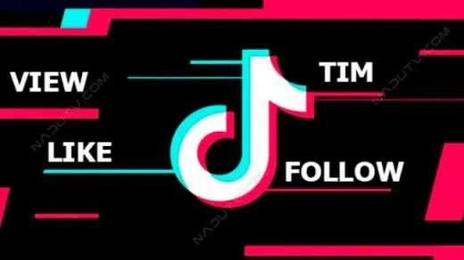 TikTok bot Pro