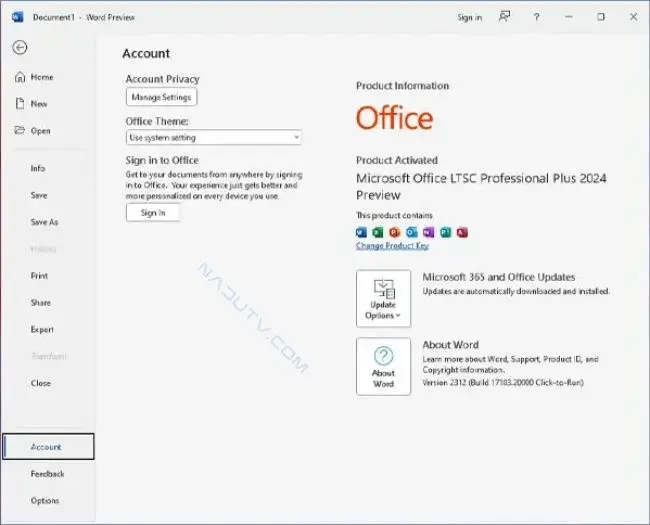 Microsoft Office Pro Plus 2024 VL