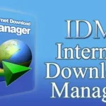IDM